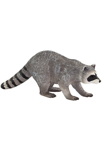 Raccoon (Medium)