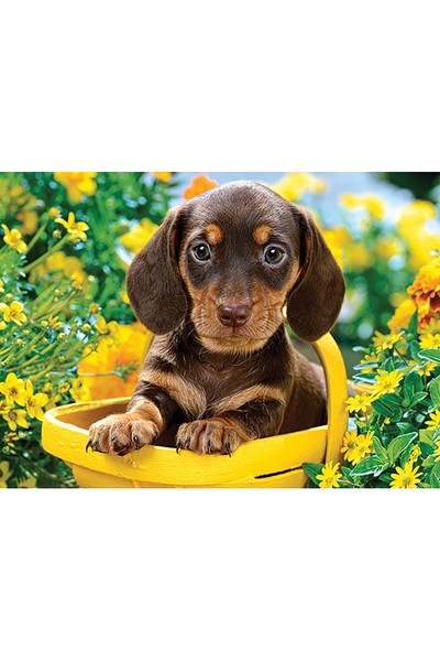 180 Piece Puzzle - Puppy in Yellow