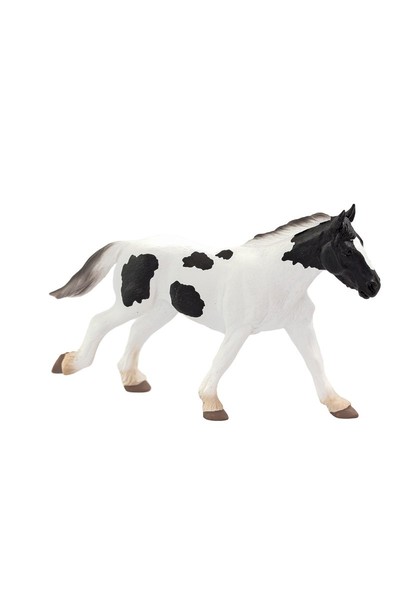 Tinker - Yearling (Large)