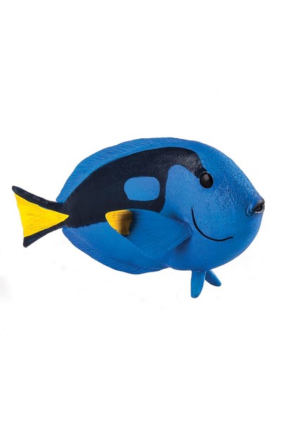 Blue Tang Fish (Medium)