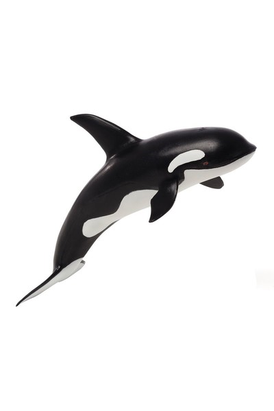 Orca (Large)