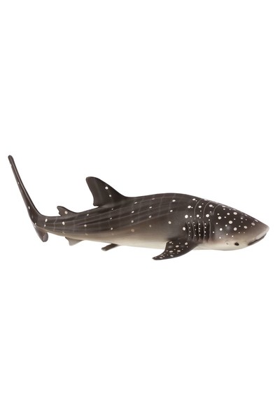 Whale Shark (Extra Large)