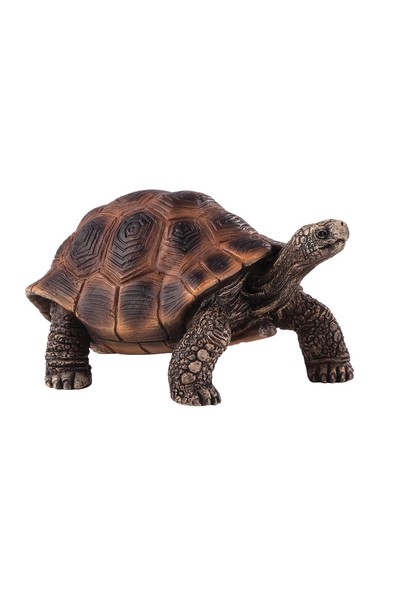 Giant Turtle (Large)