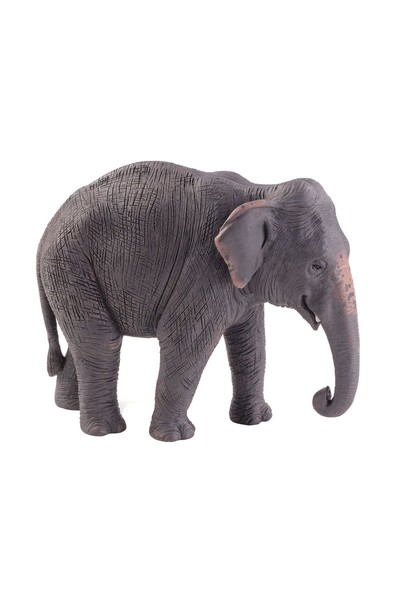 Indian Elephant (Extra Large)