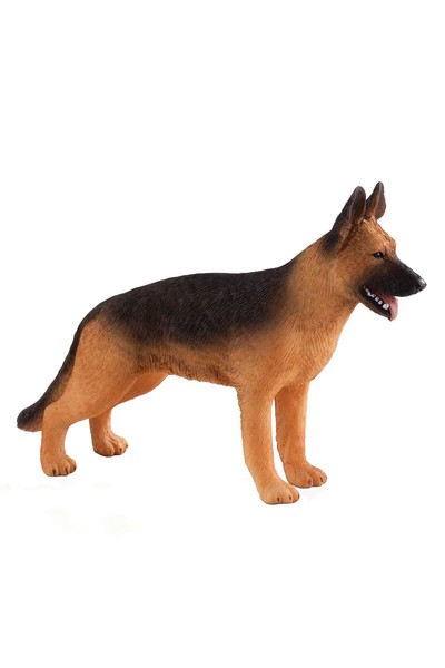 German Shepherd (Medium)