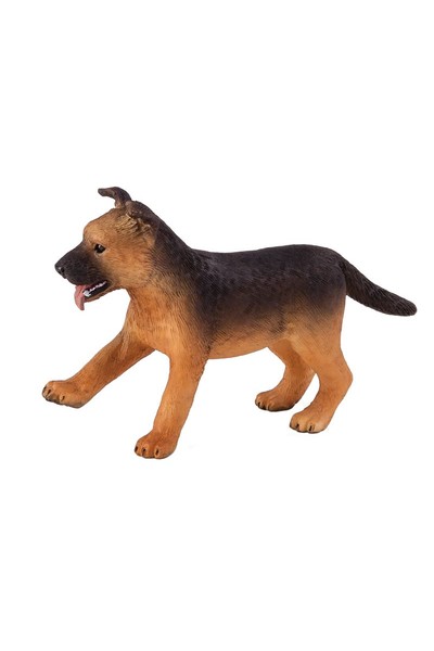 German Shepherd - Puppy (Small)