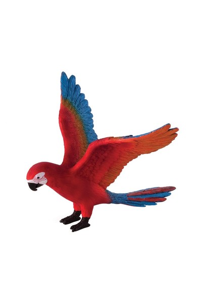 Parrot (Large)