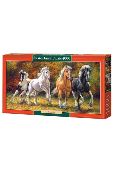 4000 Piece Puzzle - Born to Run