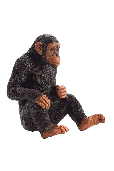 Chimpanzee (Large)