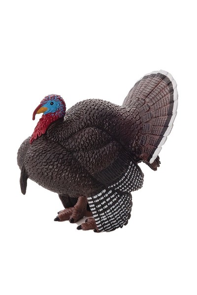 Male Turkey (Large)