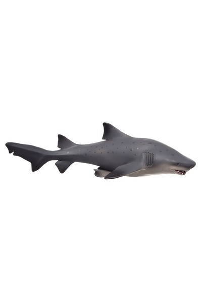 Bull Shark (XXL)