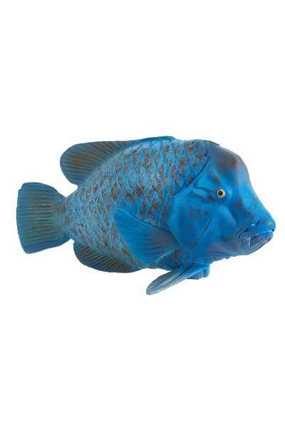 Blue Grouper (Large)