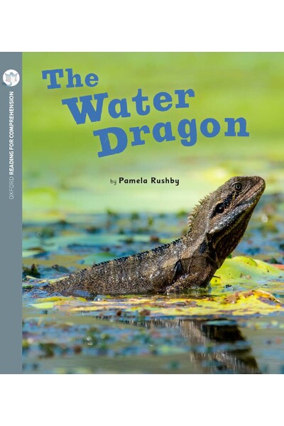 Oxford Reading for Comprehension - Level 2: The Water Dragon (Pack of 6)