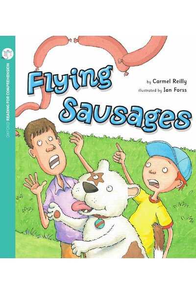 Oxford Reading for Comprehension - Level 4: Flying Sausages (Pack of 6)