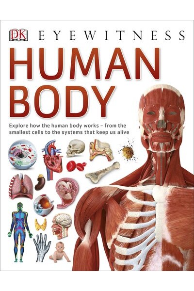 Eyewitness Human Body