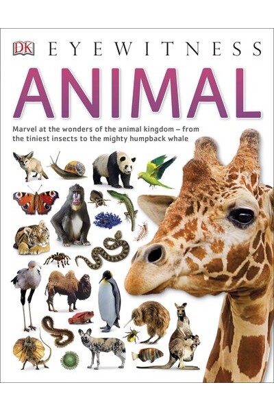 Eyewitness Animal