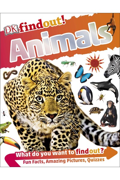 DKfindout! Animals