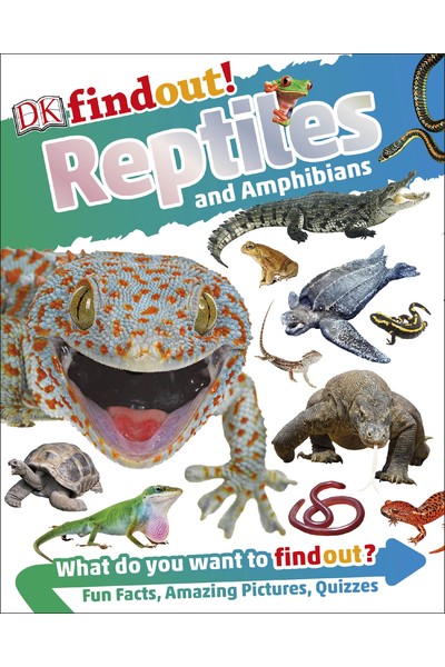 Find Out! Reptiles and Amphibians