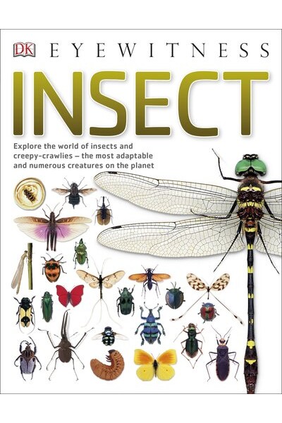 Eyewitness Insect