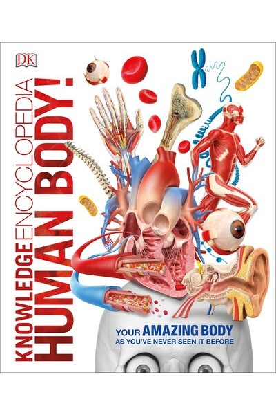 My Top to Bottom Body Book