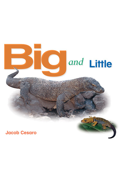 Rigby Literacy - Emergent Level 4: Big and Little (Reading Level 3 / F&P Level C)