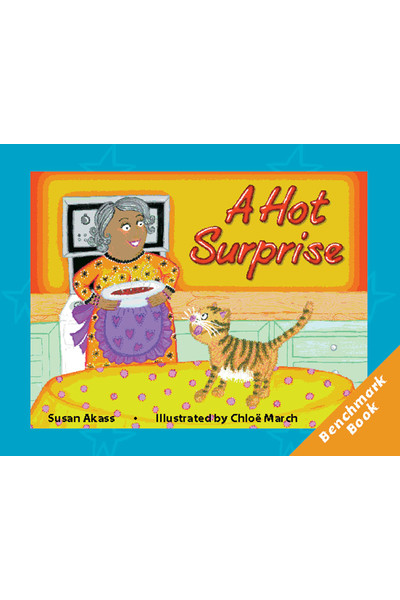 Rigby Literacy - Fluent Level 1: A Hot Surprise (Reading Level 14 / F&P Level H)