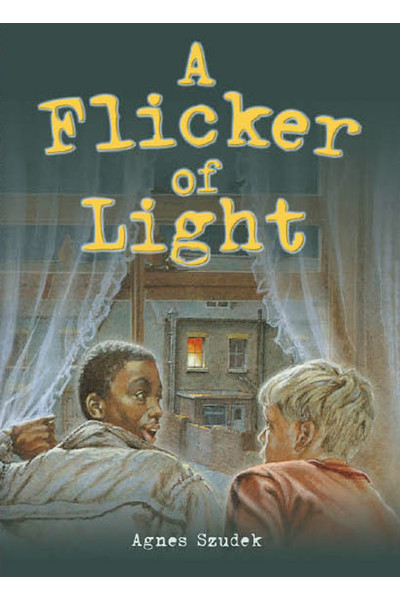 Rigby Literacy Collections (Take-Home Library) - Upper Primary: A Flicker of Light (Reading Level 30+ / F&P Level V-Z)