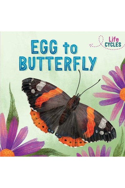 Life Cycles: Egg to Butterfly