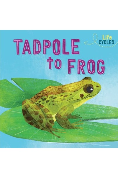 Life Cycles: From Tadpole to Frog
