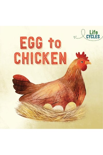 Life Cycles: Egg to Chicken