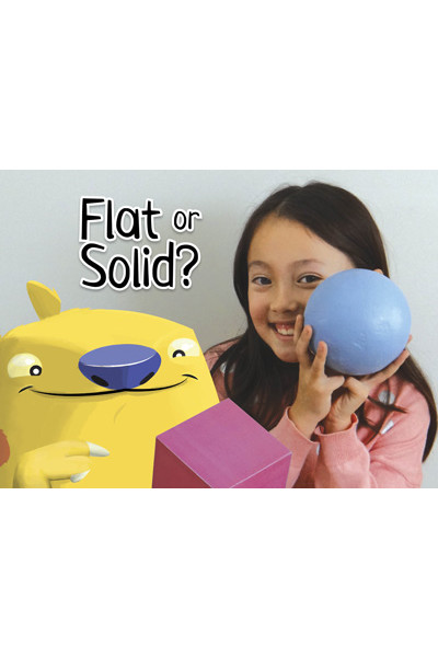 WINGS Mathematics - Flat or Solid?