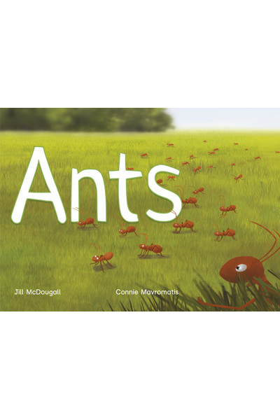WINGS Phonics - Ants