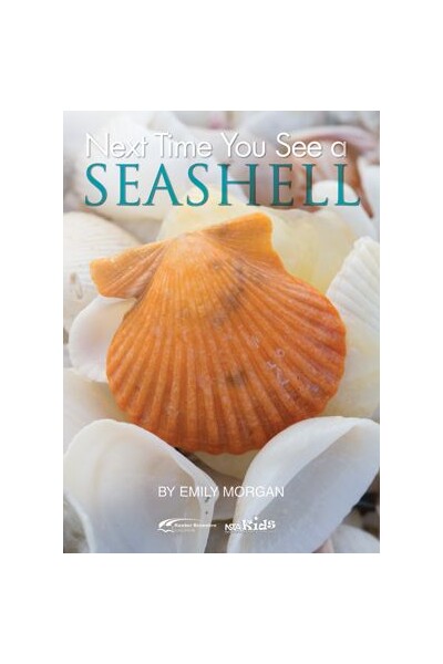 Next Time You See A Seashell
