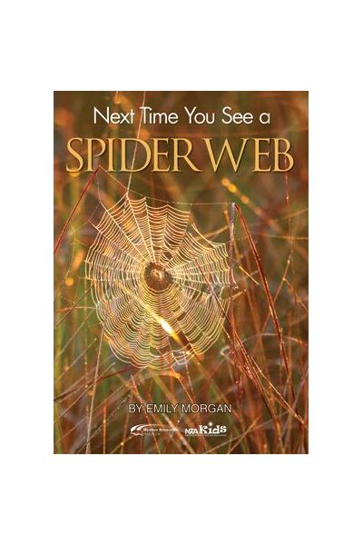 Next Time You See a Spider Web 