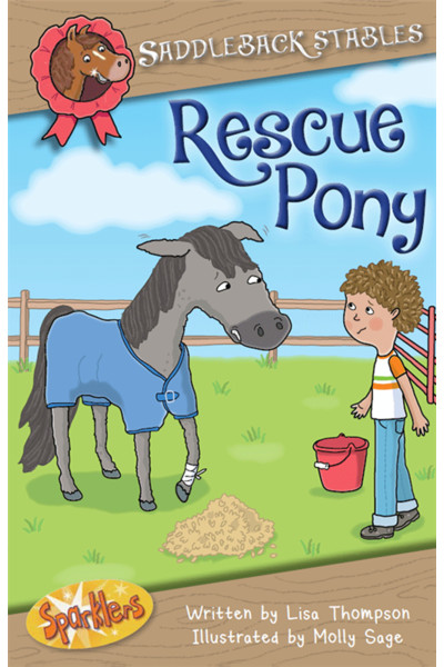 Sparklers - Saddleback Stables - Rescue Pony
