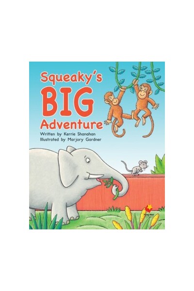 Flying Start to Literacy Shared Reading: Big Books - Squeaky's Big Adventure (Pack 15)