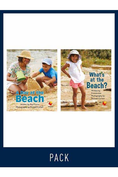Flying Start to Literacy: Guided Reading - A Day at the Beach & What's at the Beach?: Level 1 (Pack 3)