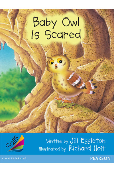 Sails - Early Level 3, Set 2 (Blue): Baby Owl is Scared (Reading Level 11-12 / F&P Level G)