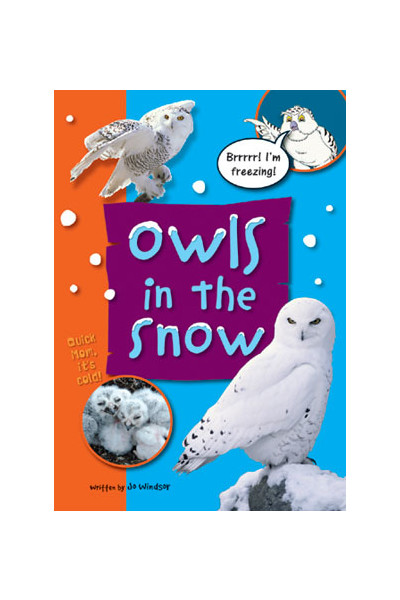 Sailing Solo - Green Level: Owls in the Snow (Reading Level 14 / F&P Level H)