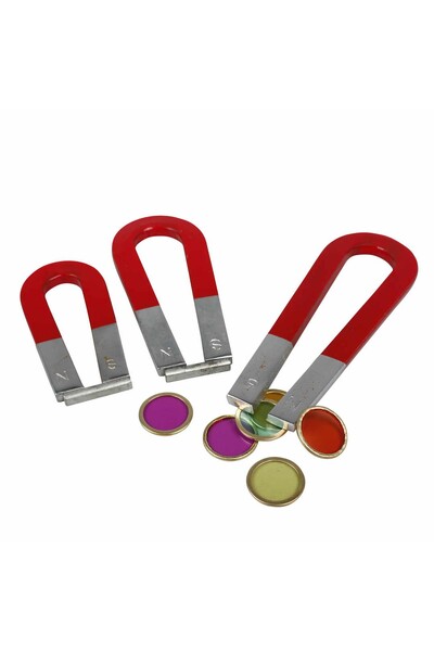 Horseshoe Magnet (Set of 3)