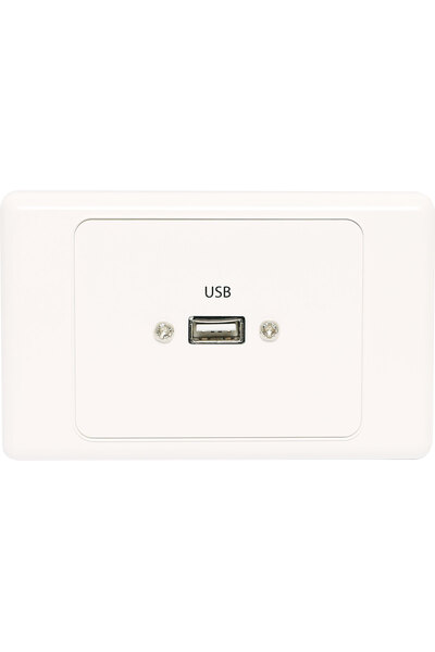 Dynalink USB Single Wallplate with Socket Flylead