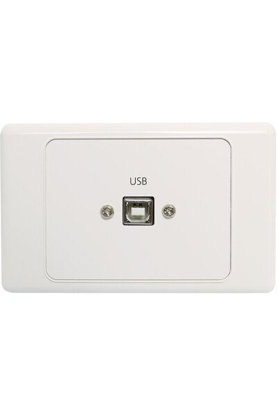 Dynalink USB Type B Wallplate with USB A Plug Flylead