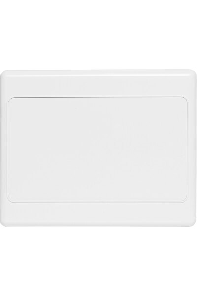 Altronics Blank Double Width Wallplate