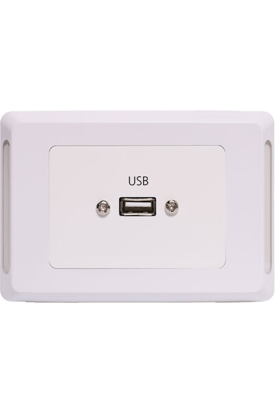 Altronics USB A Horizontal Wallplate With Flyleads - Clipsal Pro
