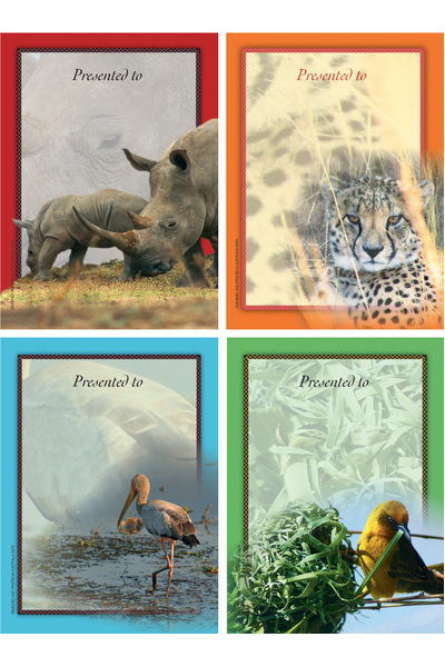 African Safari Bookplates - Large Bookplates
