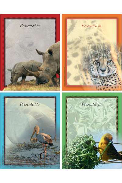 African Safari Bookplates - Small Bookplates