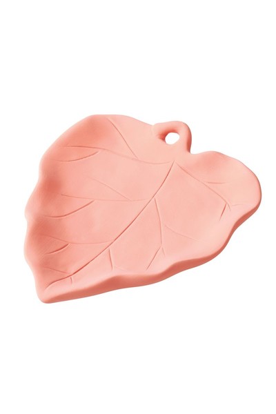 Terracotta Leaf Dishes - Pack of 5