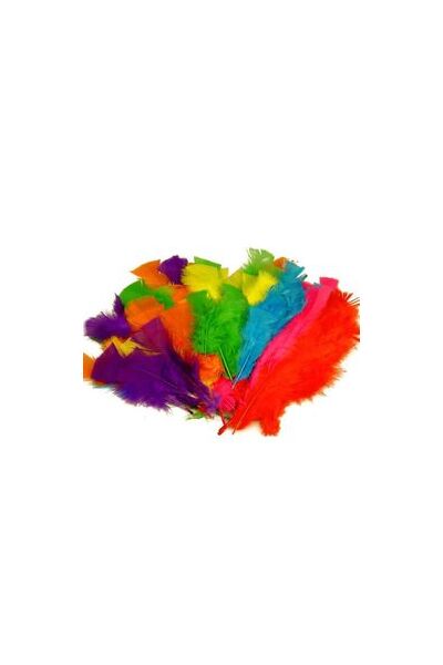 Feathers Large 30gm - Assorted 