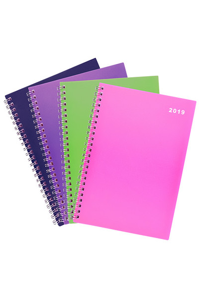 Cumberland School Diary 2019 (A5) - School W.T.O. (Assorted Colours)