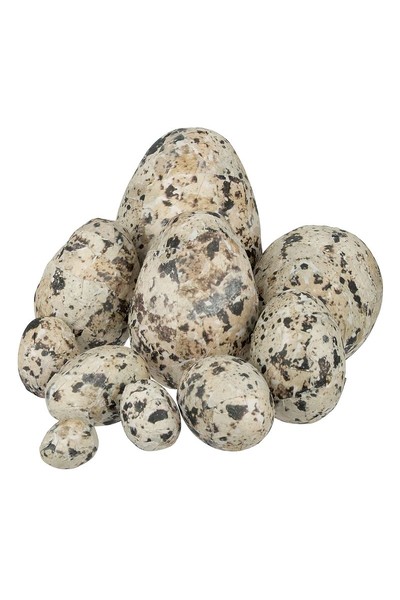 Poly Speckled Eggs - Pack of 10